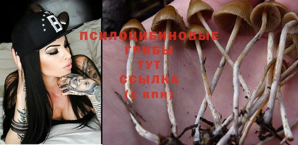 кристаллы Белоозёрский
