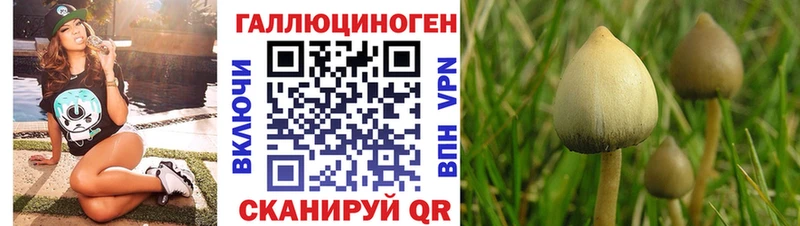 Галлюциногенные грибы прущие грибы Духовщина