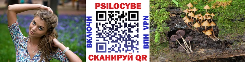 Псилоцибиновые грибы Cubensis Духовщина